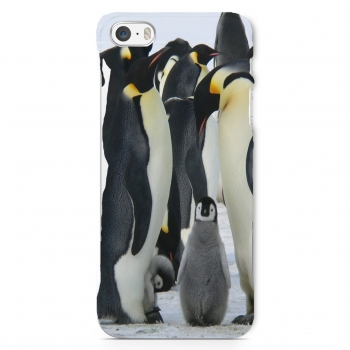 Handyhülle Plastik Pinguin für Handy Apple iphone XR