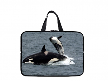 Laptoptasche Schwertwal