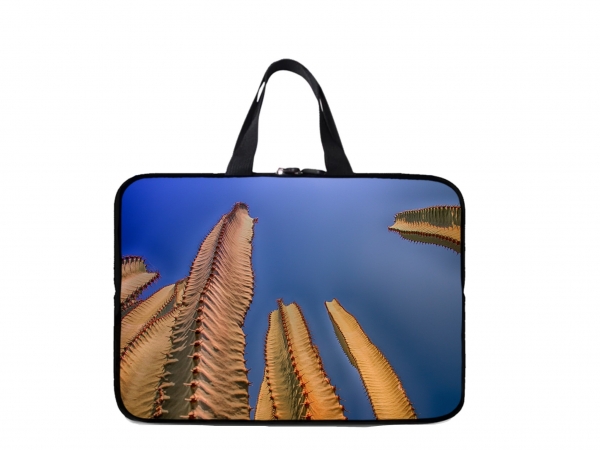 Laptoptasche Kakteen